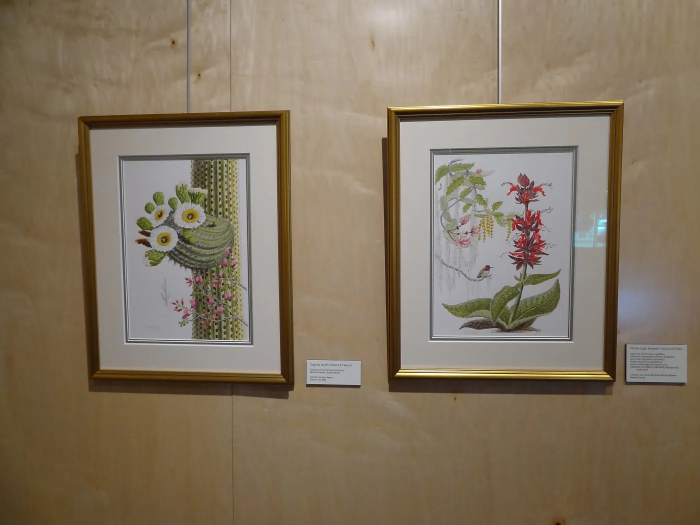 Patrick O'Hara exhibit at the Wildling Art Museum, SBBG Blaksley Library Special Collections, Art