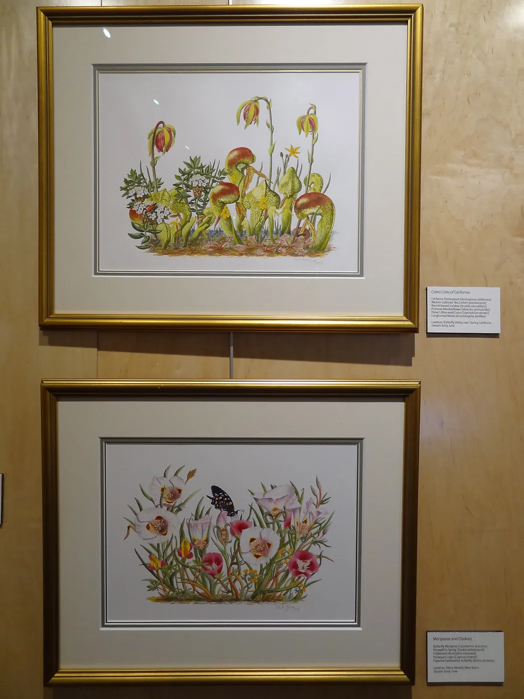 Patrick O'Hara exhibit at the Wildling Art Museum, SBBG Blaksley Library Special Collections, Art