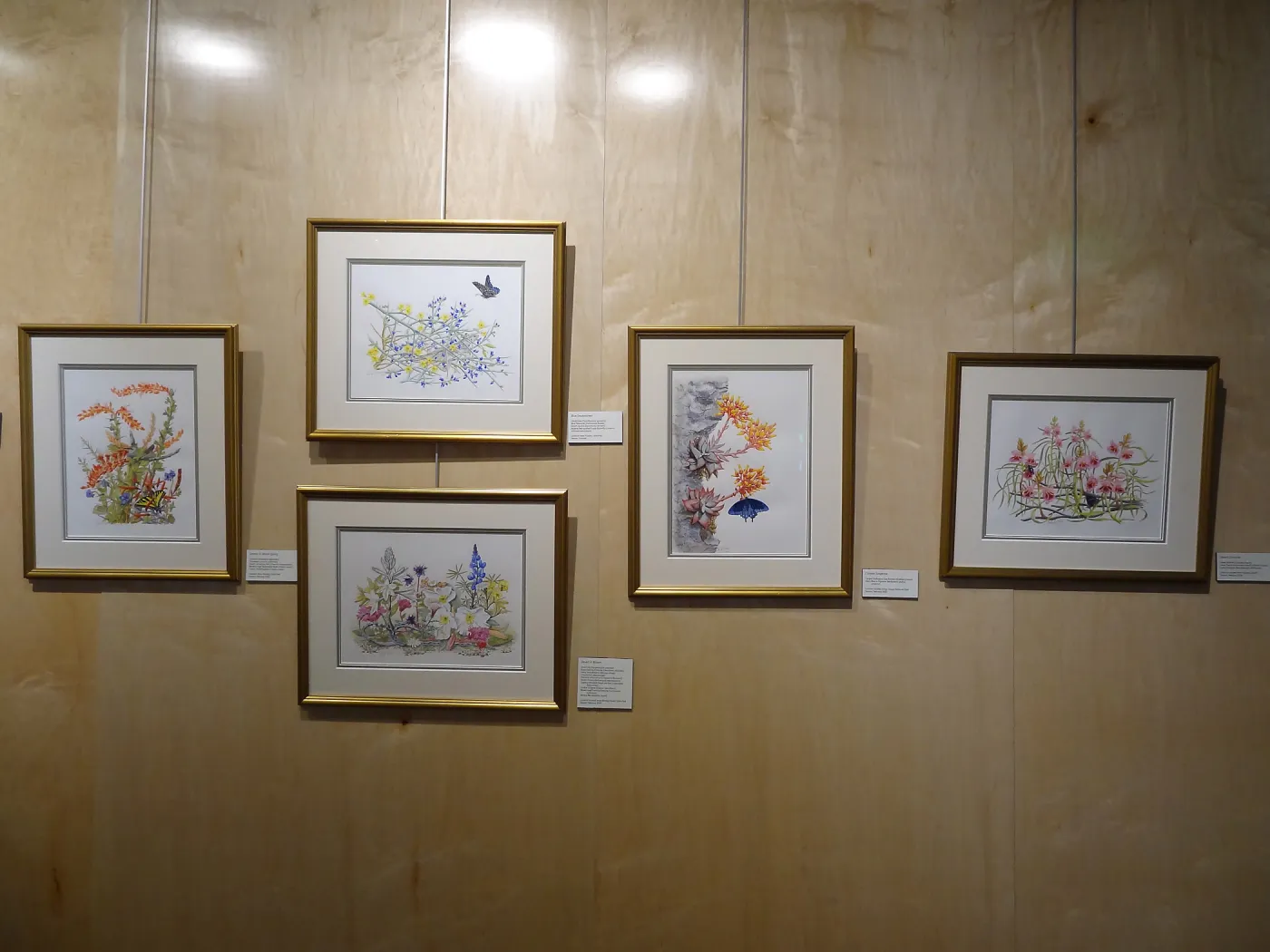 Patrick O'Hara exhibit at the Wildling Art Museum, SBBG Blaksley Library Special Collections, Art