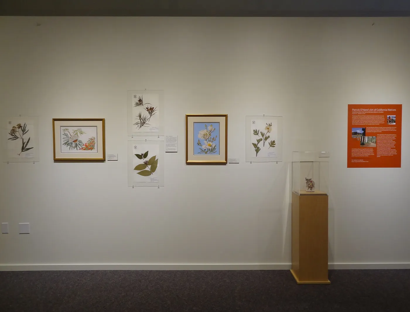 Patrick O'Hara exhibit at the Wildling Art Museum, SBBG Blaksley Library Special Collections, Art