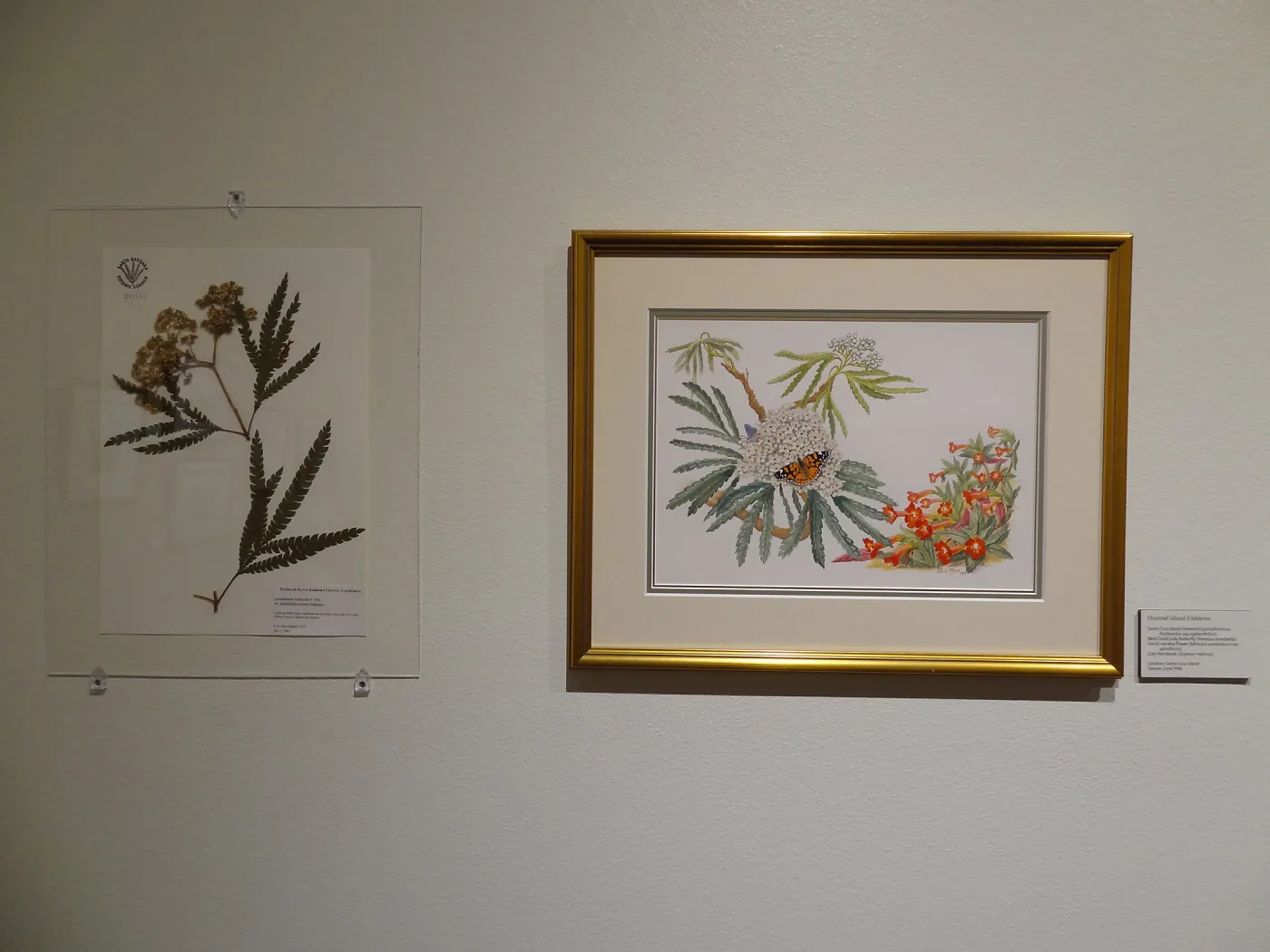 Patrick O'Hara exhibit at the Wildling Art Museum, SBBG Blaksley Library Special Collections, Art