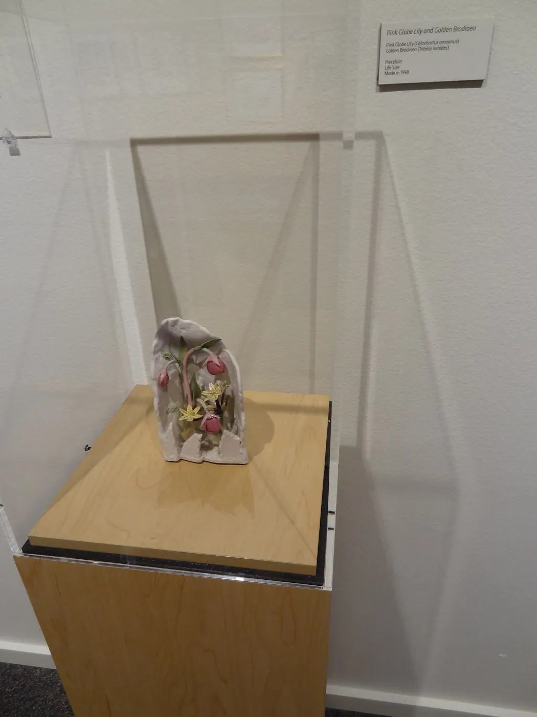 Pink Globe Lily and Golden Brodiaea, porcelain sculpture, Patrick O'Hara exhibit at the Wildling Art Museum, SBBG Blaksley Library Special Collections, Art