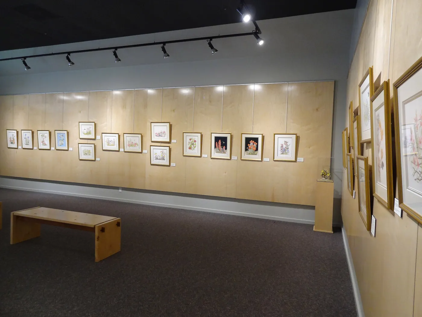 Patrick O'Hara exhibit at the Wildling Art Museum, SBBG Blaksley Library Special Collections, Art