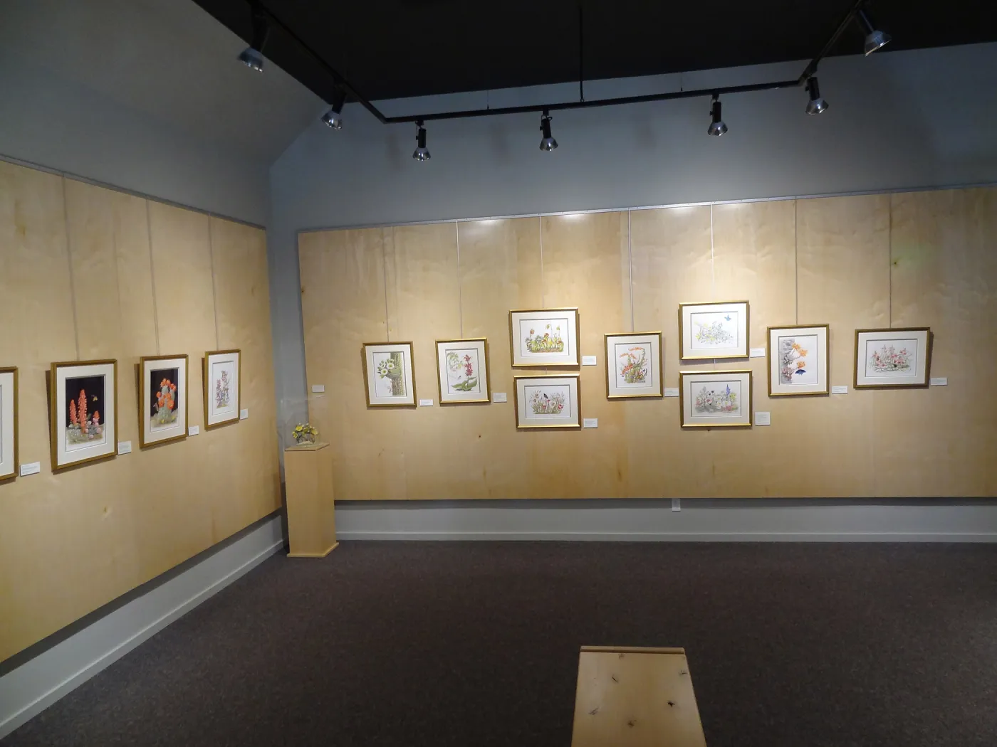 Patrick O'Hara exhibit at the Wildling Art Museum, SBBG Blaksley Library Special Collections, Art