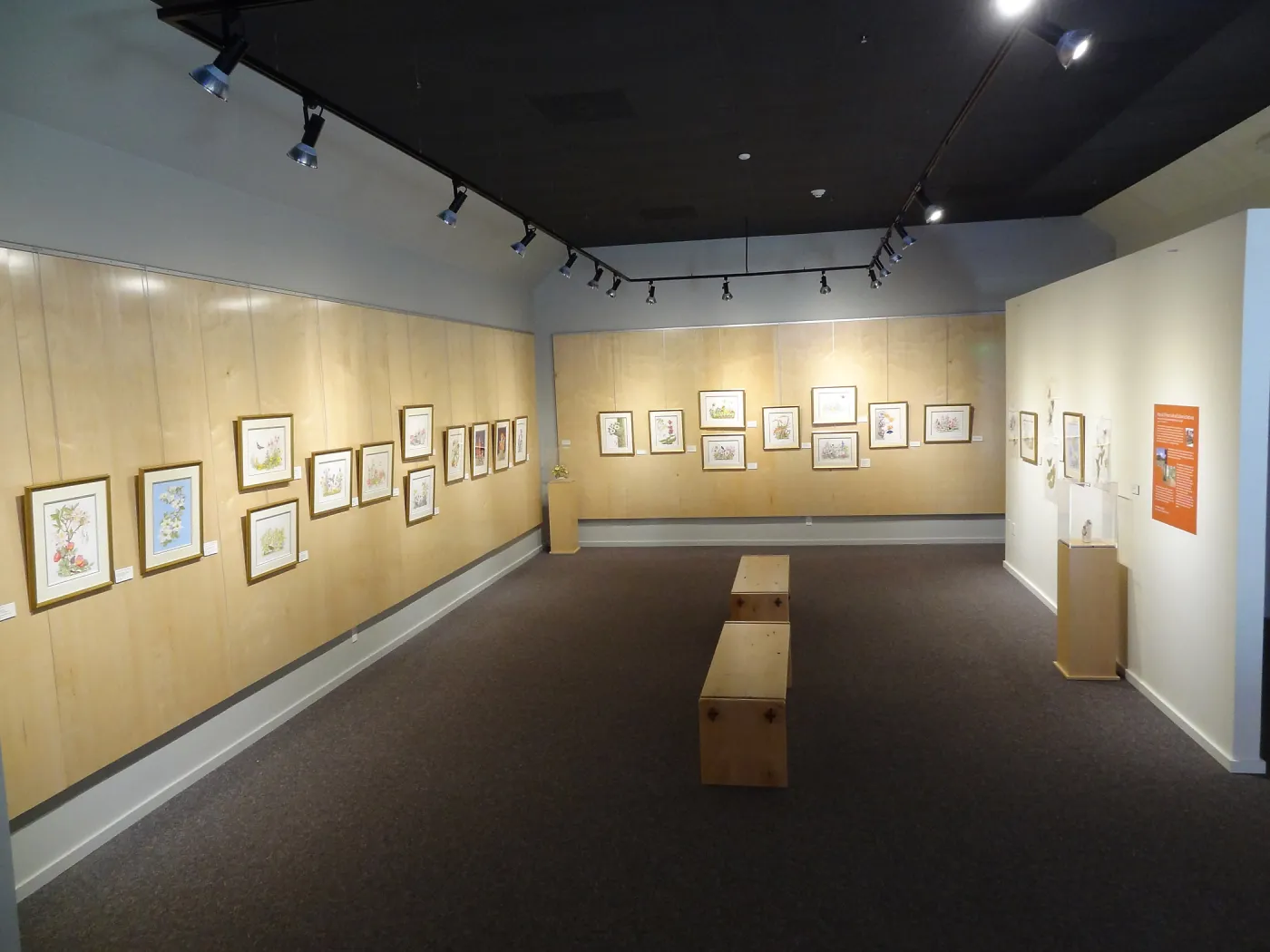 Patrick O'Hara exhibit at the Wildling Art Museum, SBBG Blaksley Library Special Collections, Art