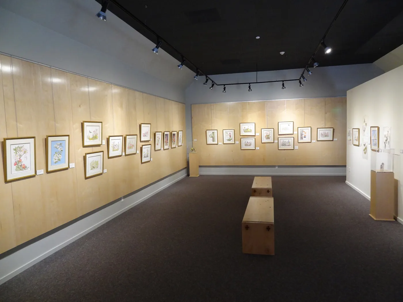 Patrick O'Hara exhibit at the Wildling Art Museum, SBBG Blaksley Library Special Collections, Art
