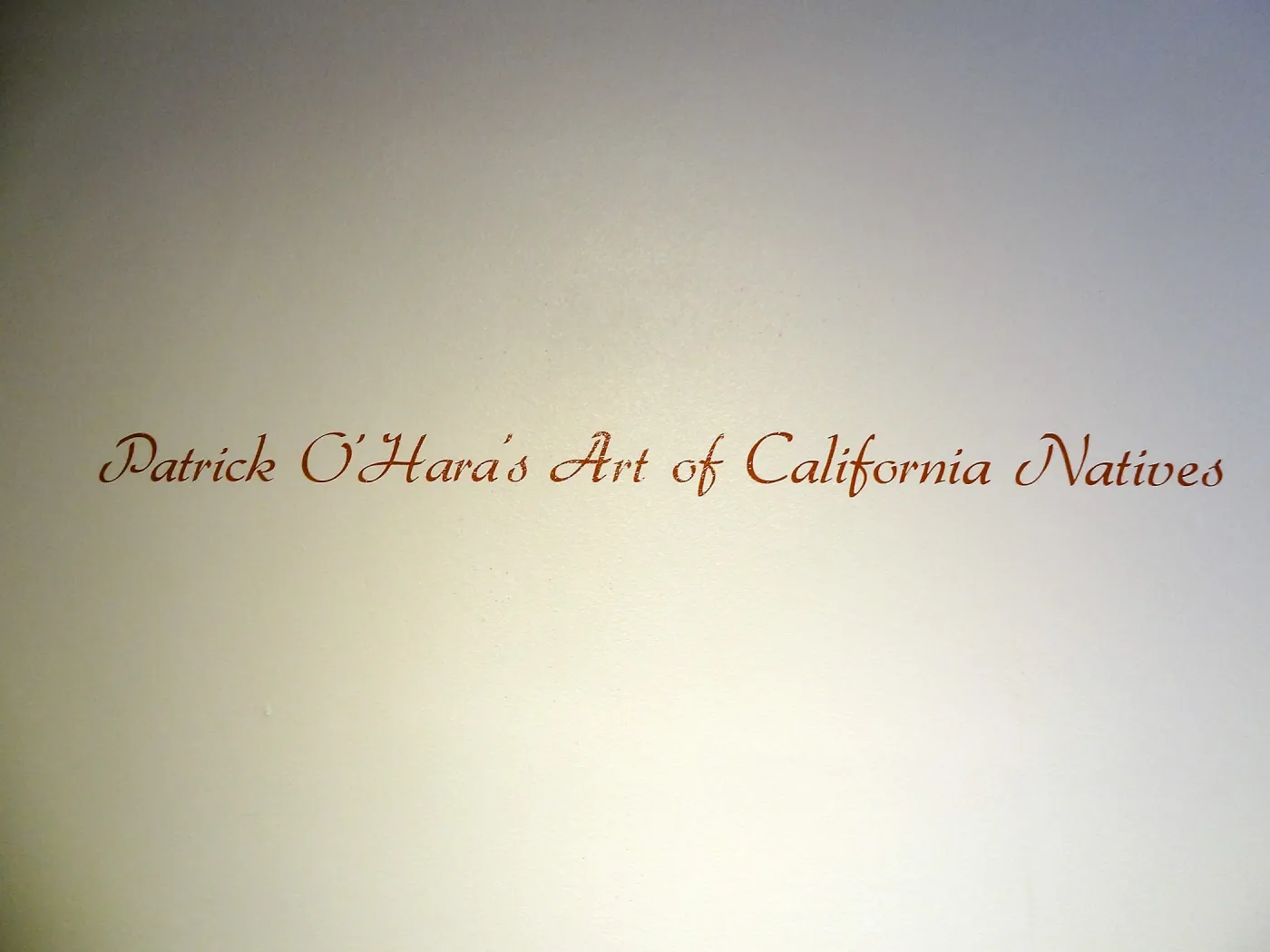 Patrick O'Hara exhibit at the Wildling Art Museum, SBBG Blaksley Library Special Collections, Art