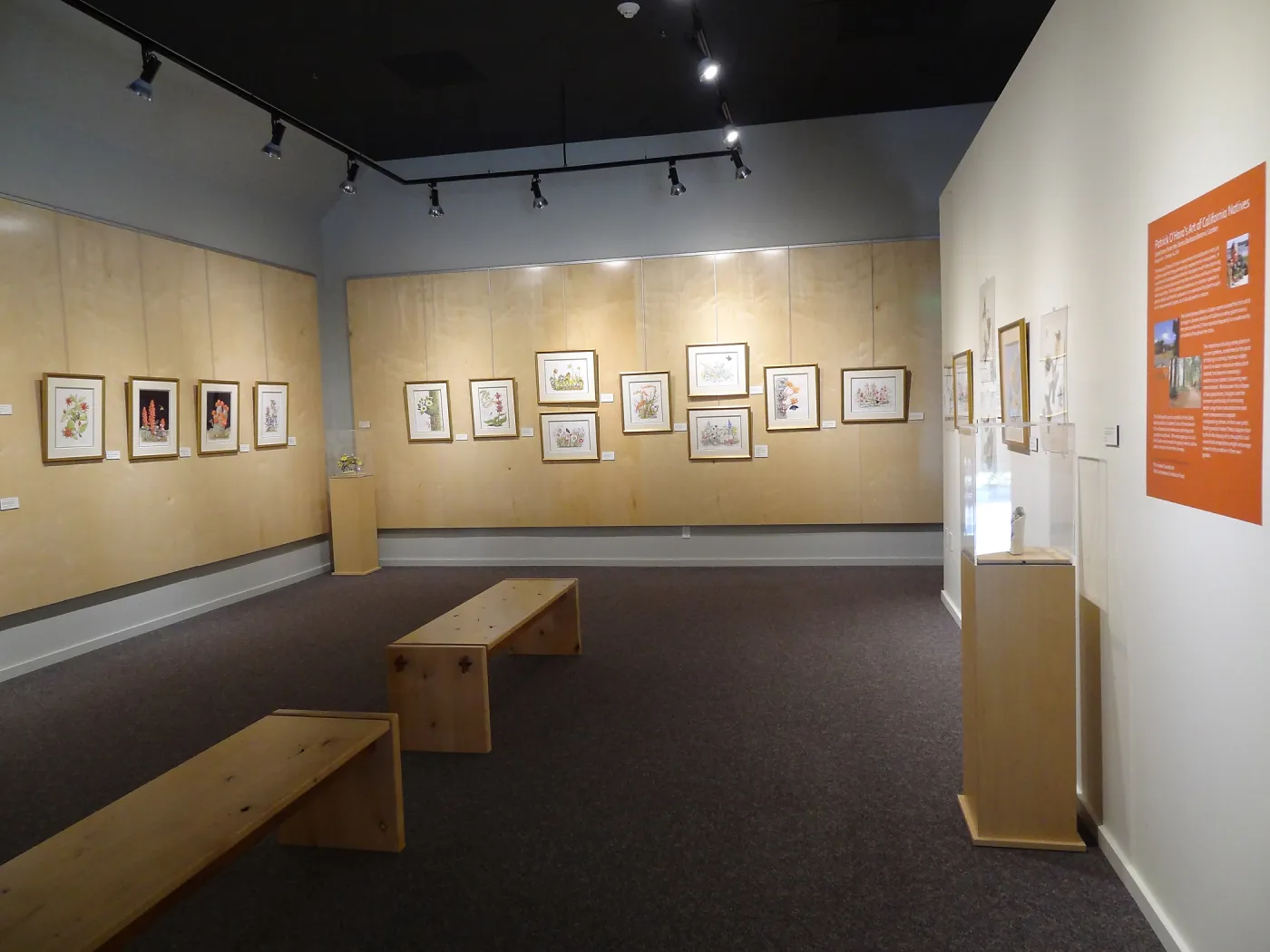 Patrick O'Hara exhibit at the Wildling Art Museum, SBBG Blaksley Library Special Collections, Art