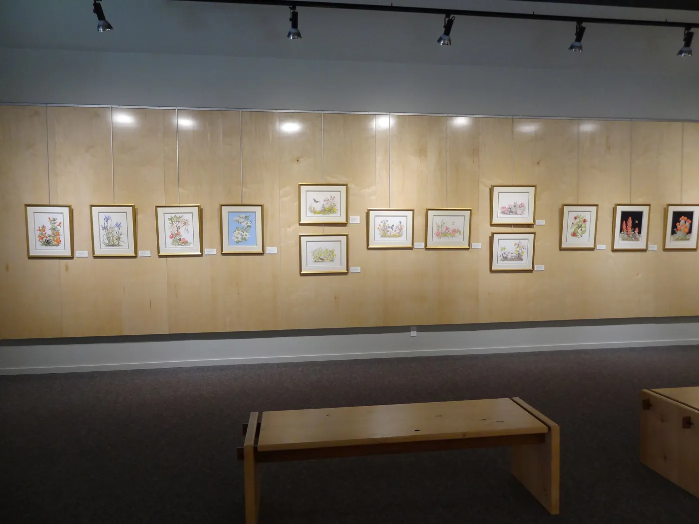Patrick O'Hara exhibit at the Wildling Art Museum, SBBG Blaksley Library Special Collections, Art