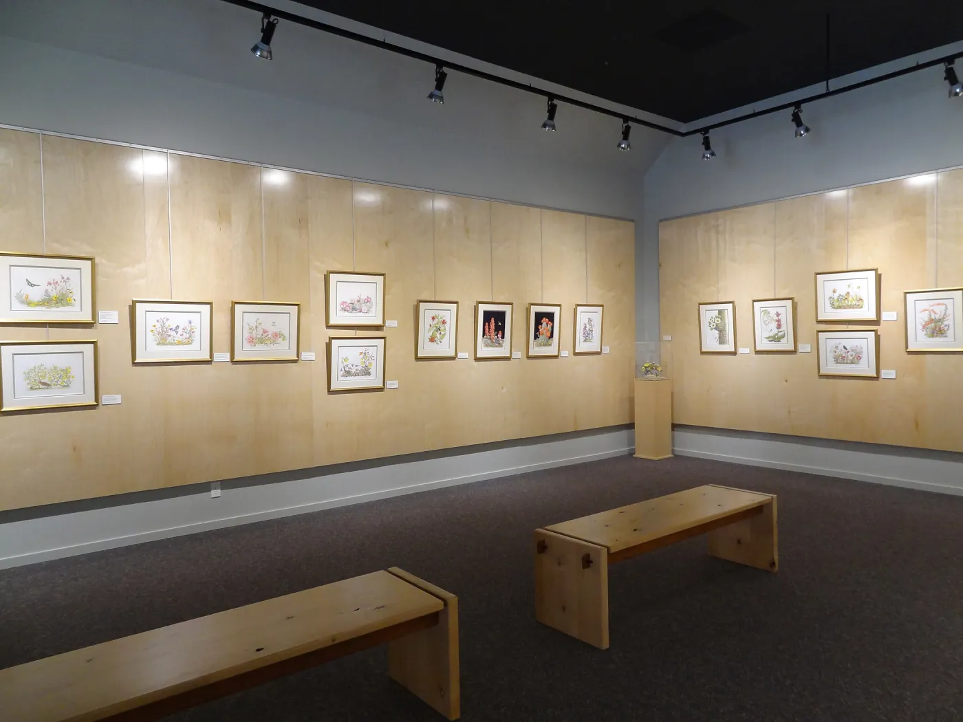 Patrick O'Hara exhibit at the Wildling Art Museum, SBBG Blaksley Library Special Collections, Art