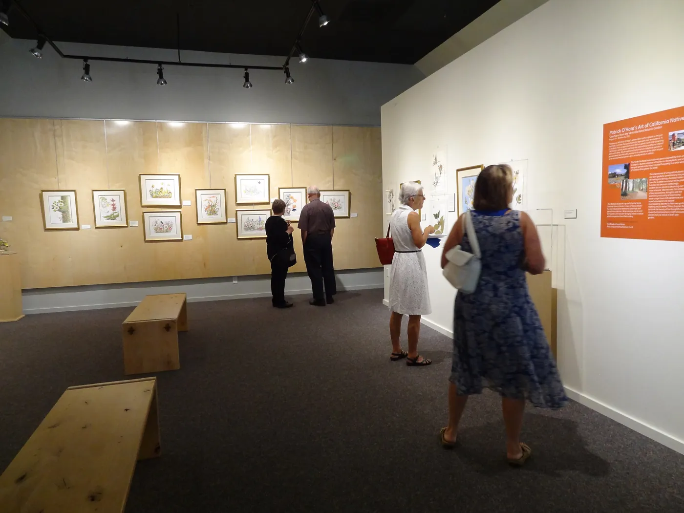 Patrick O'Hara exhibit at the Wildling Art Museum, SBBG Blaksley Library Special Collections, Art