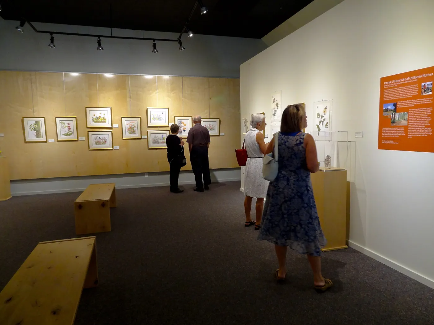 Patrick O'Hara exhibit at the Wildling Art Museum, SBBG Blaksley Library Special Collections, Art