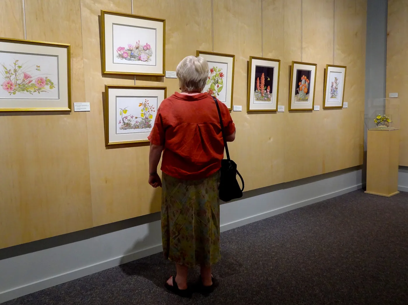 Patrick O'Hara exhibit at the Wildling Art Museum, SBBG Blaksley Library Special Collections, Art