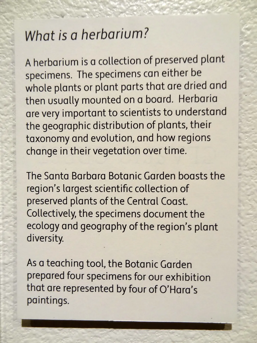 Patrick O'Hara exhibit at the Wildling Art Museum, SBBG Blaksley Library Special Collections, Art