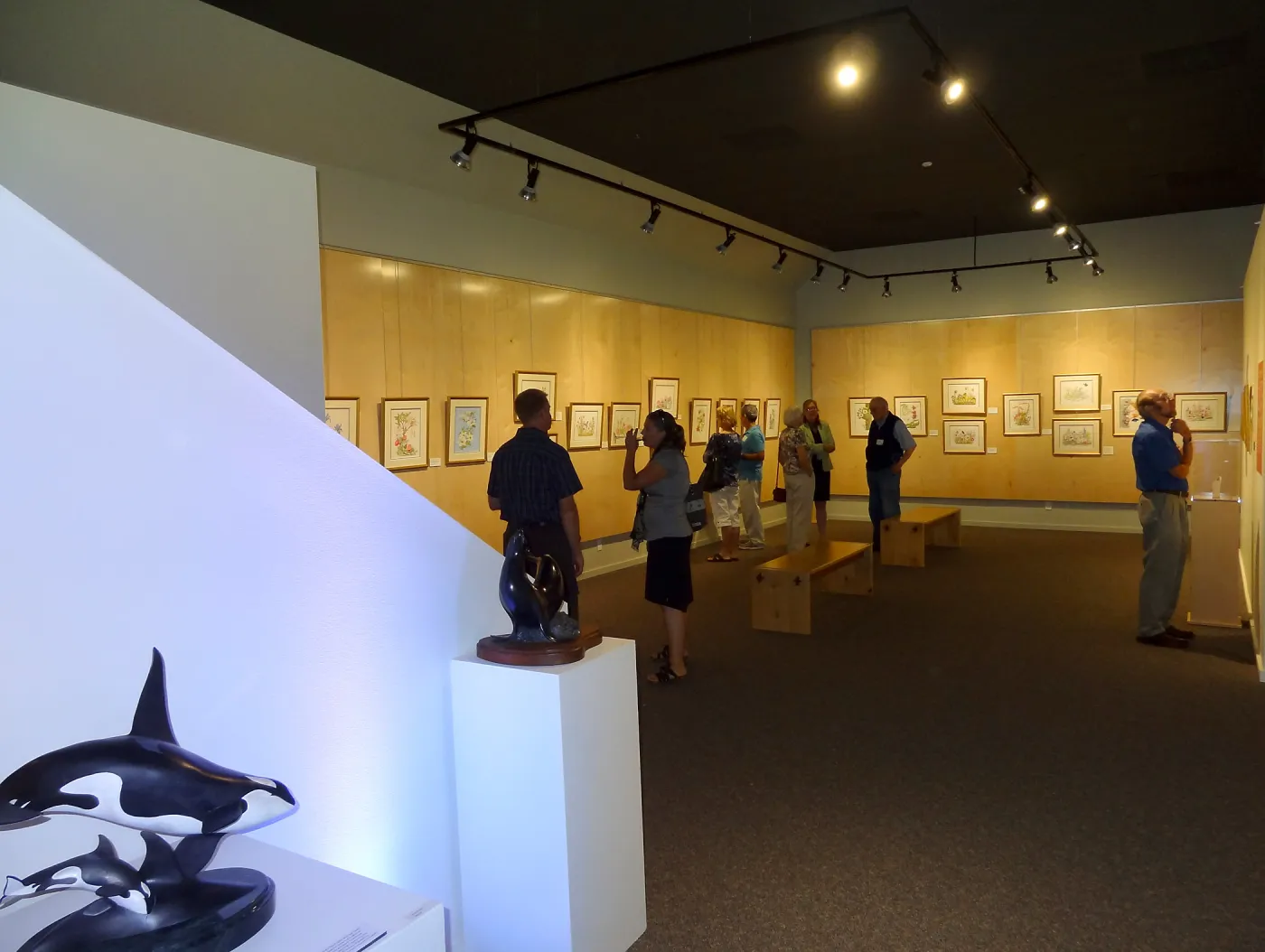 Patrick O'Hara exhibit at the Wildling Art Museum, SBBG Blaksley Library Special Collections, Art