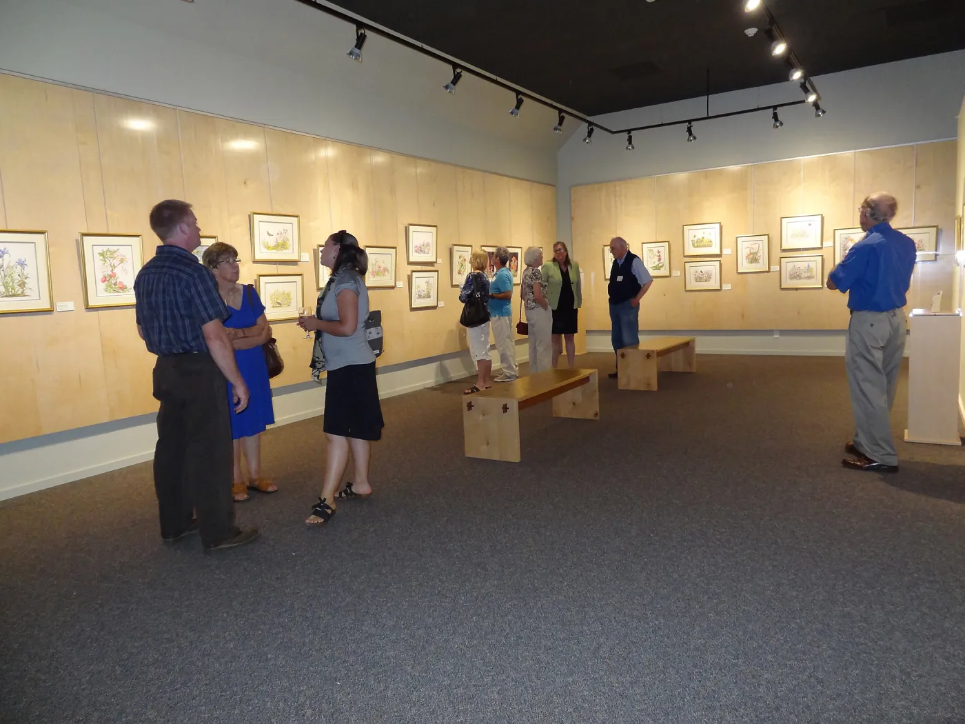 Patrick O'Hara exhibit at the Wildling Art Museum, SBBG Blaksley Library Special Collections, Art