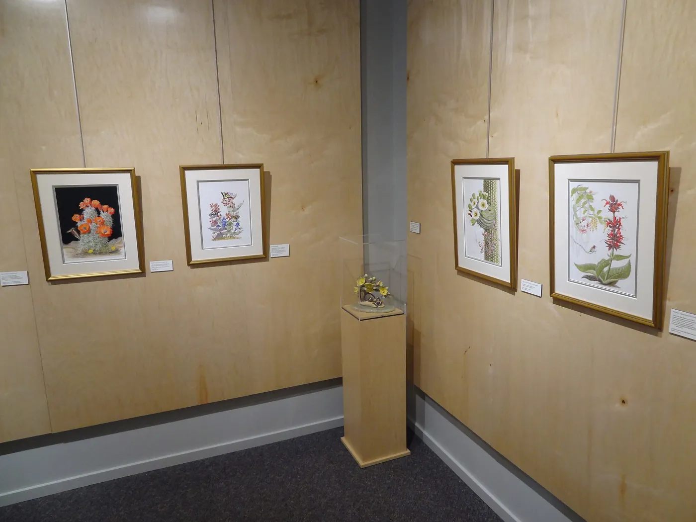 Patrick O'Hara exhibit at the Wildling Art Museum, SBBG Blaksley Library Special Collections, Art