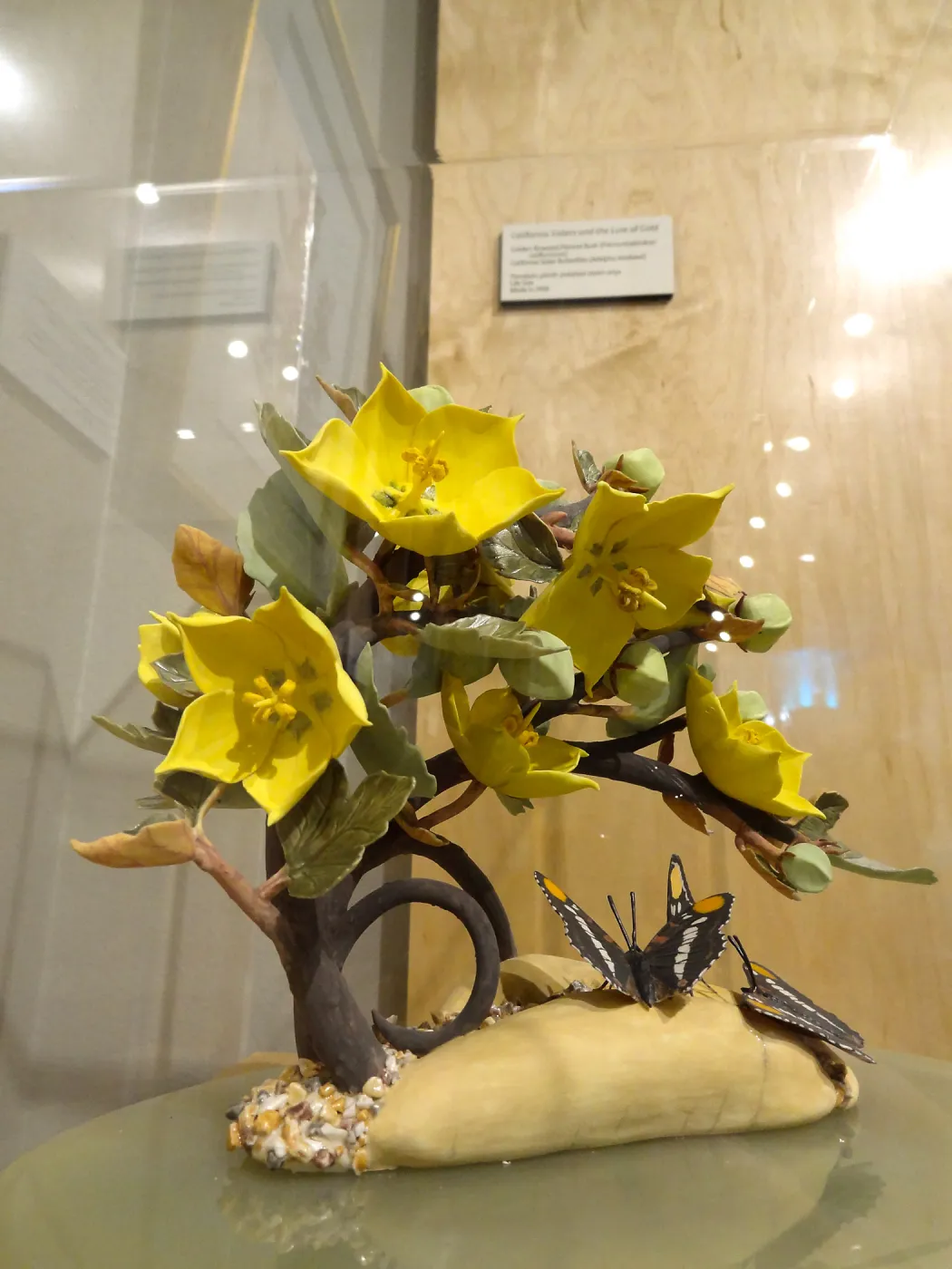 California Sisters and the Lure of Gold, Fremontodendron, porcelain sculpture, Patrick O'Hara exhibit at the Wildling Art Museum, SBBG Blaksley Library Special Collections, Art