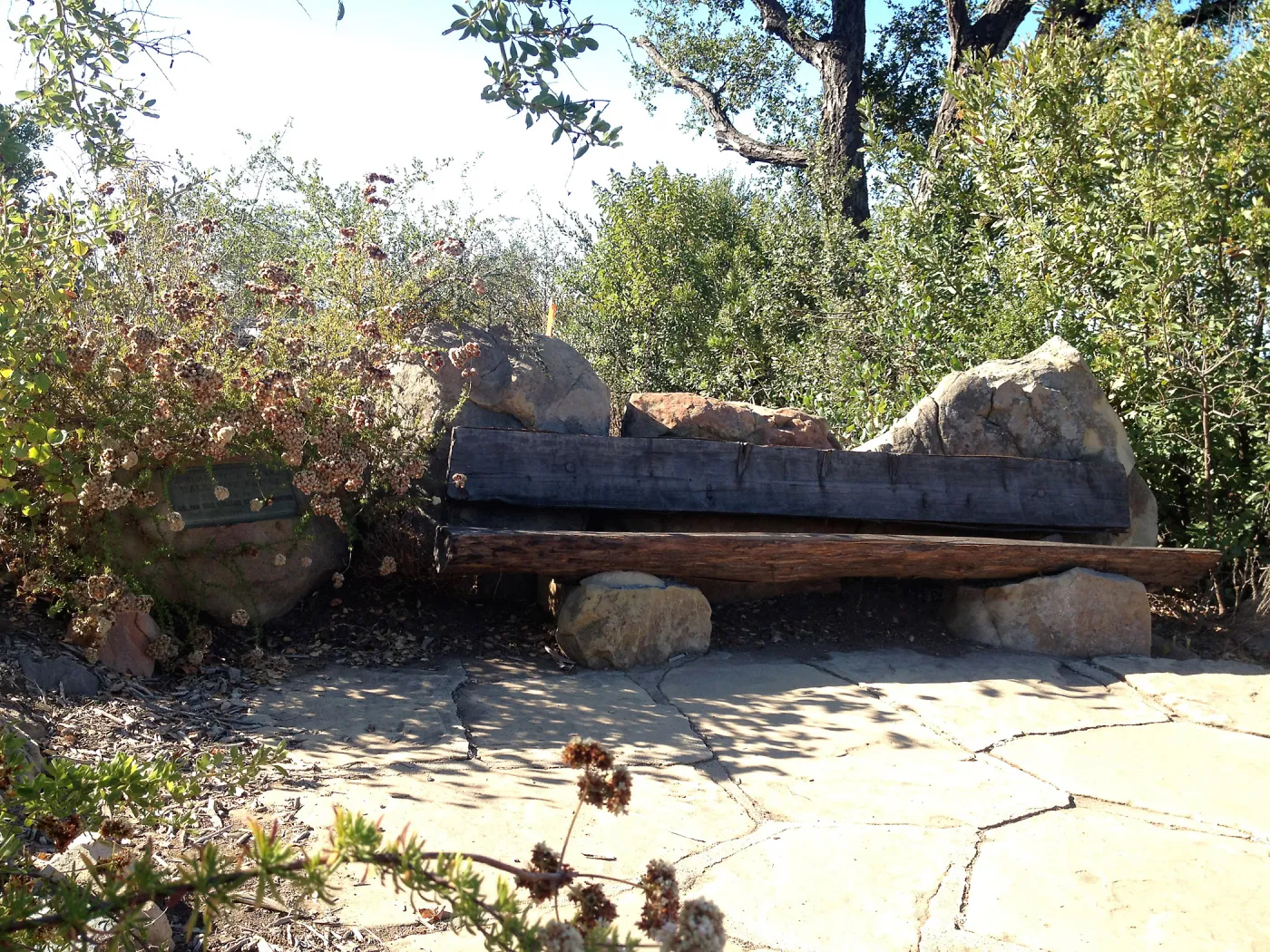 Bench at SBBG