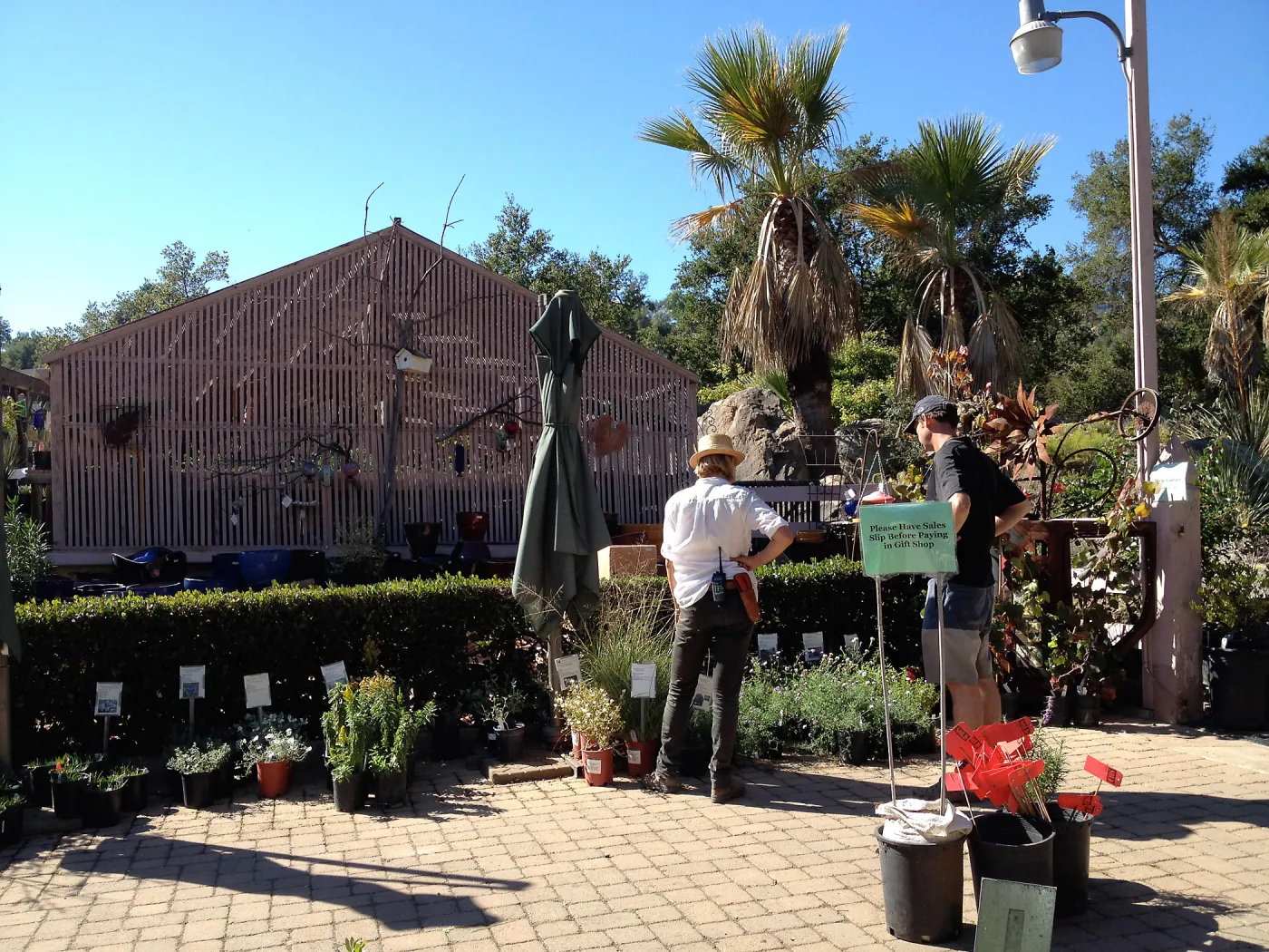 SBBG Fall Plant Sale 2013, Paige Minney with customer