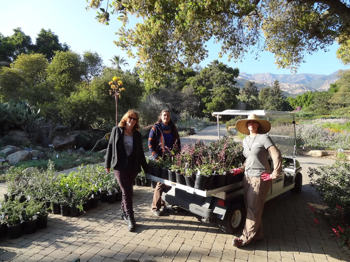Betsy Collins, Betsy Lape and Heather Wehnau, Spring Plant Sale 2013, set-up, Hort Department staff