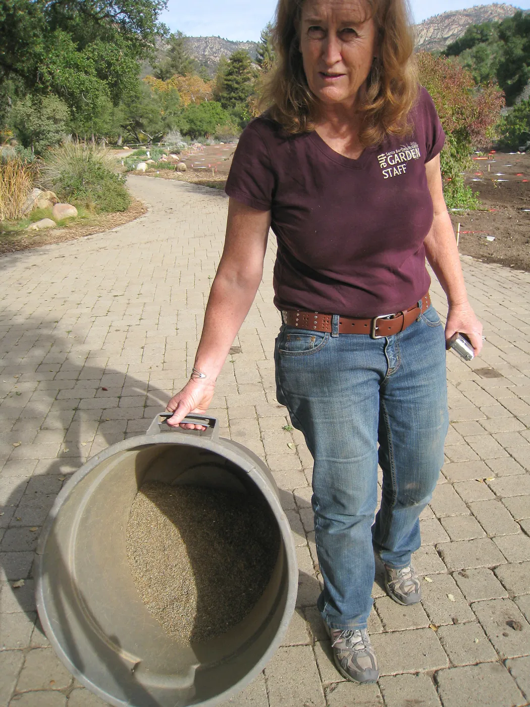14 pounds of Wildflower Seed, Meadow Revival Project