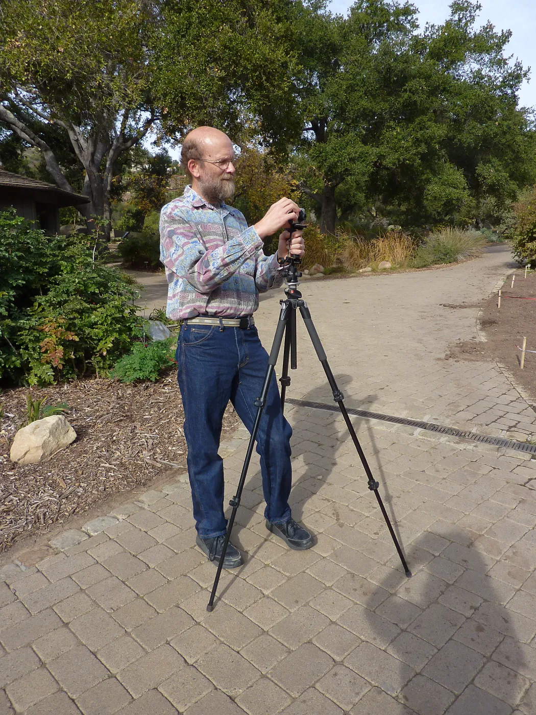 Photographing wildflower planting, Meadow Revival Project