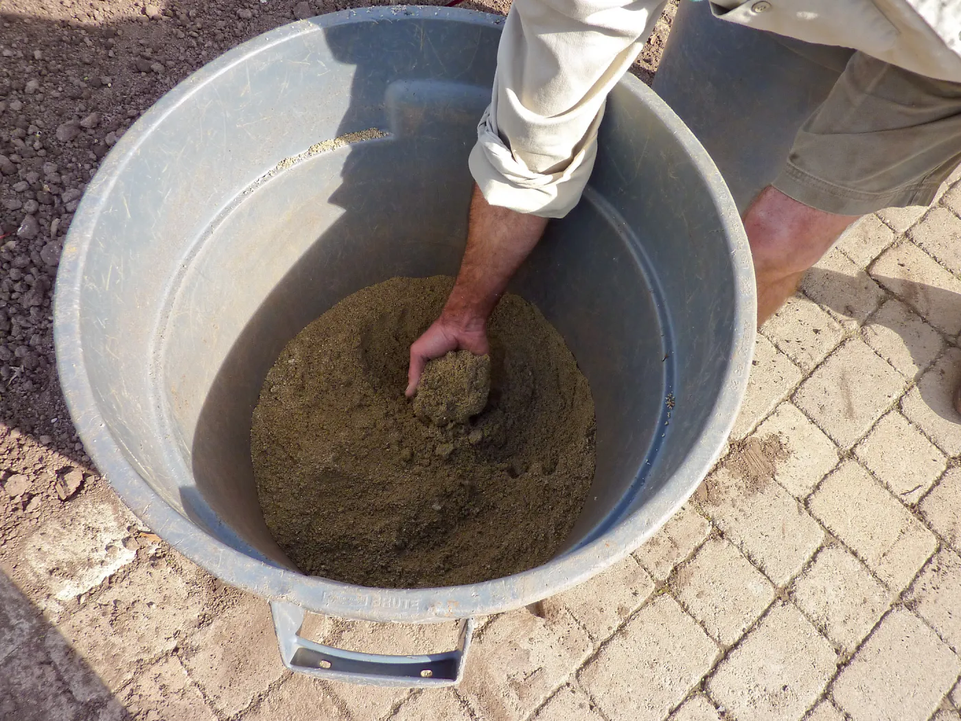 Small seed and sand mix, Meadow Revival Project