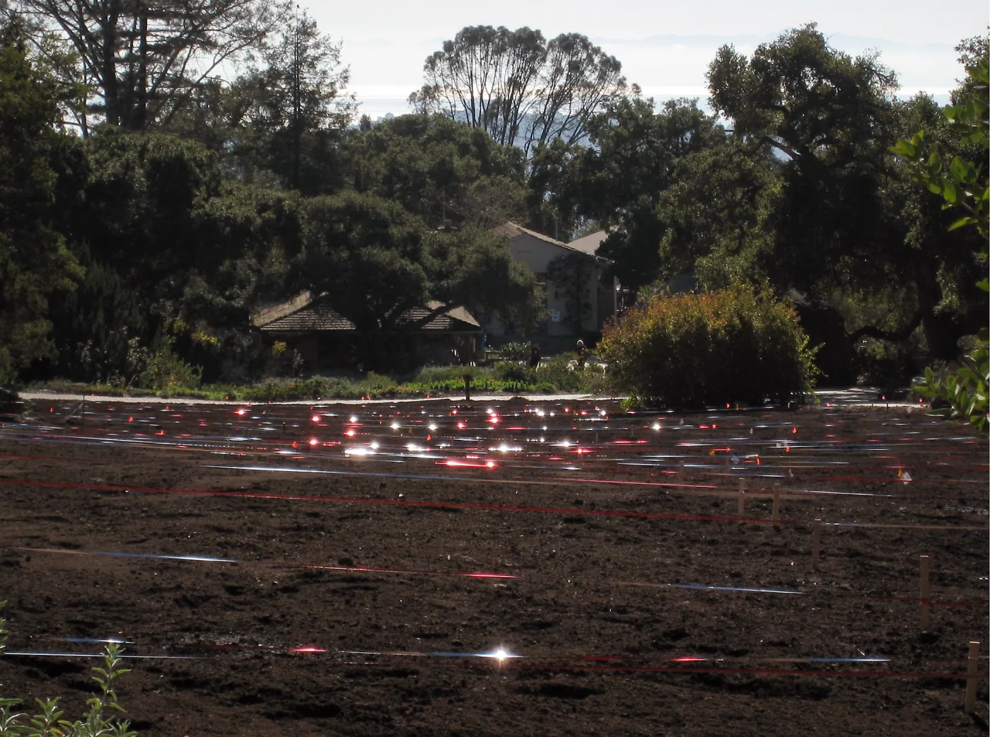Reflective Bird Repellent Tape, Meadow Revival Project