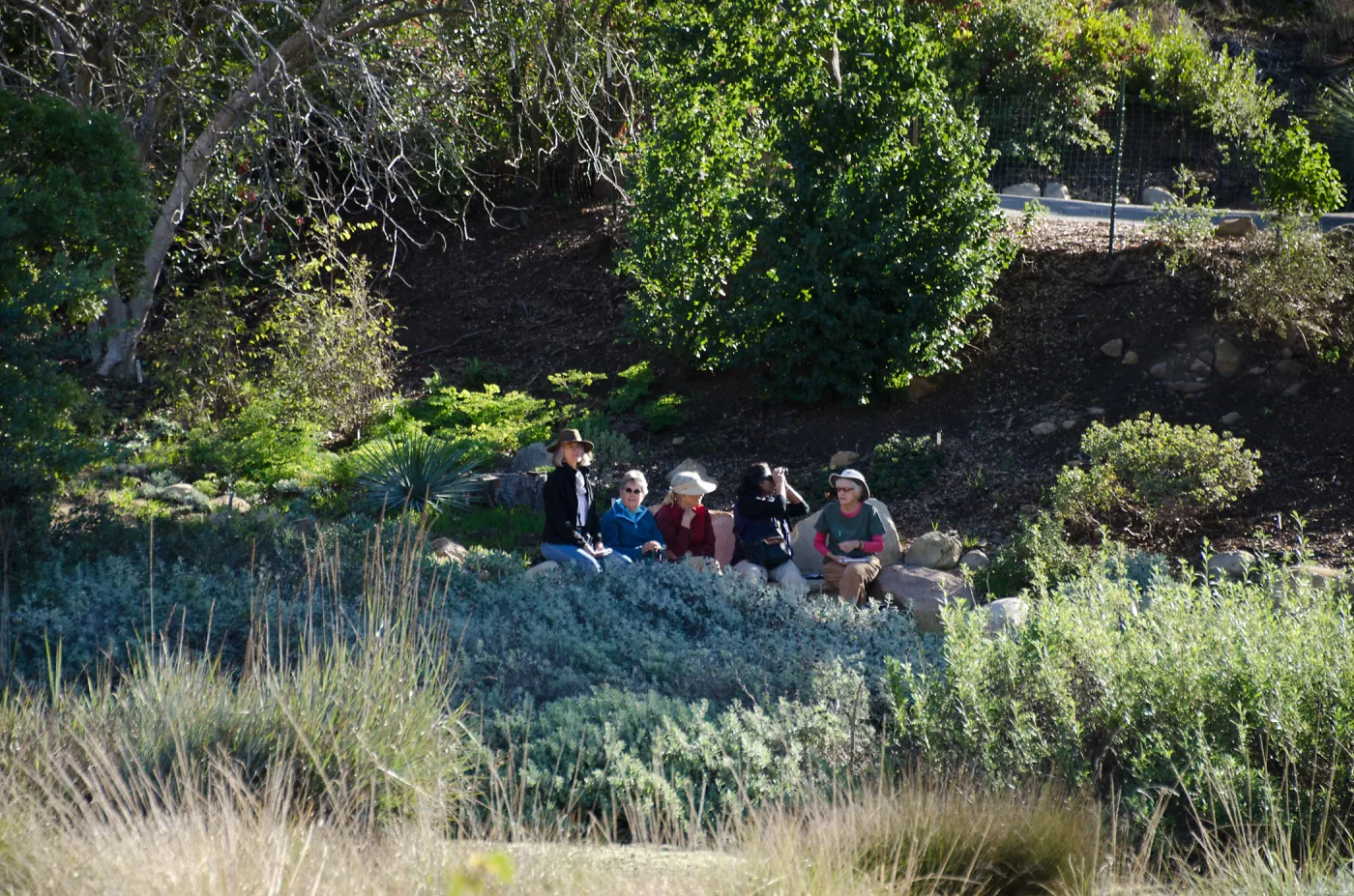 Volunteers at the Meadow View