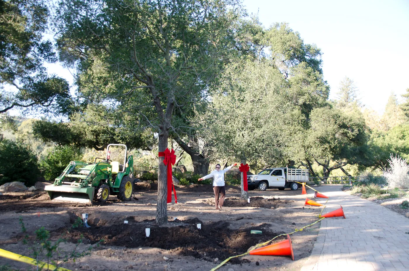 Red ribbons, new oaks arrive at SBBG, Meadow Oaks, Joni Kelly