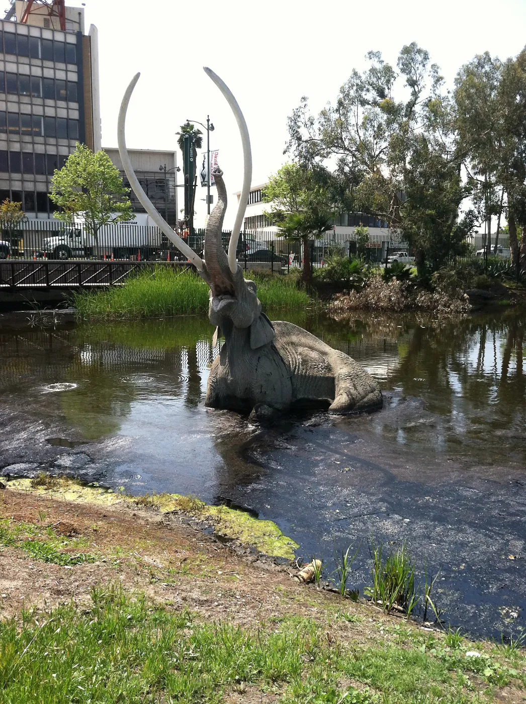 Docent field trip to La Brea tar pits, George C. Paige Museum, La Brea Discoveries