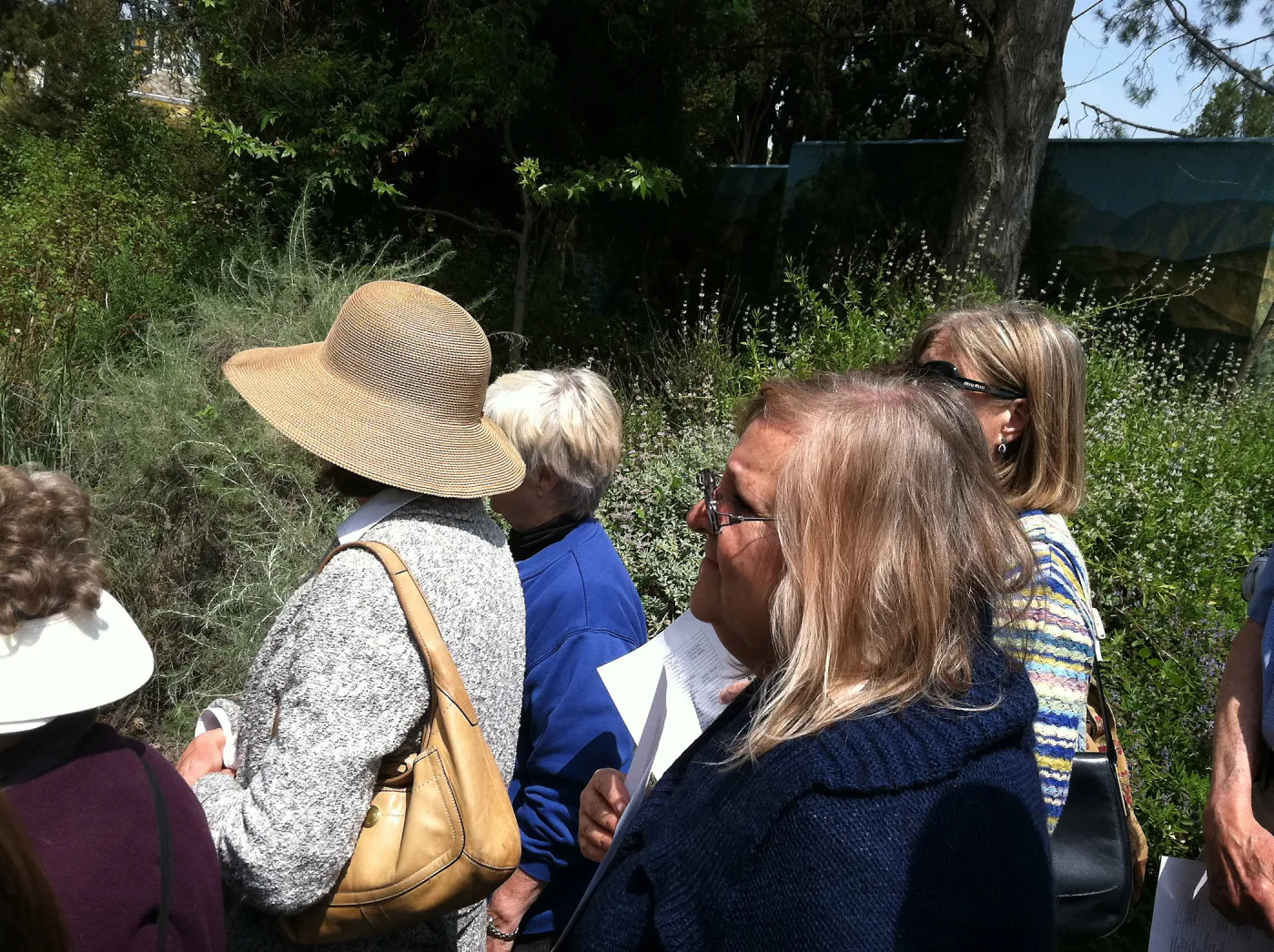 Docent field trip to La Brea tar pits, George C. Paige Museum, La Brea Discoveries