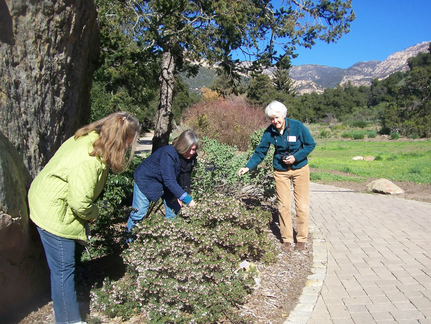 California Naturalists, SBBG, Judy Sanregret, Susan Davidson, Cathy Rose