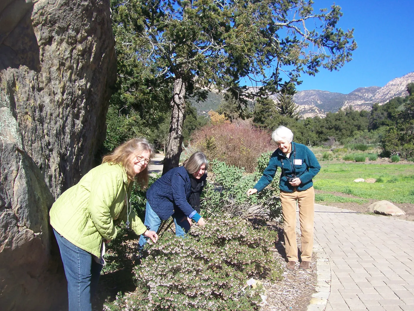 California Naturalists, SBBG, Judy Sanregret, Susan Davidson, Cathy Rose