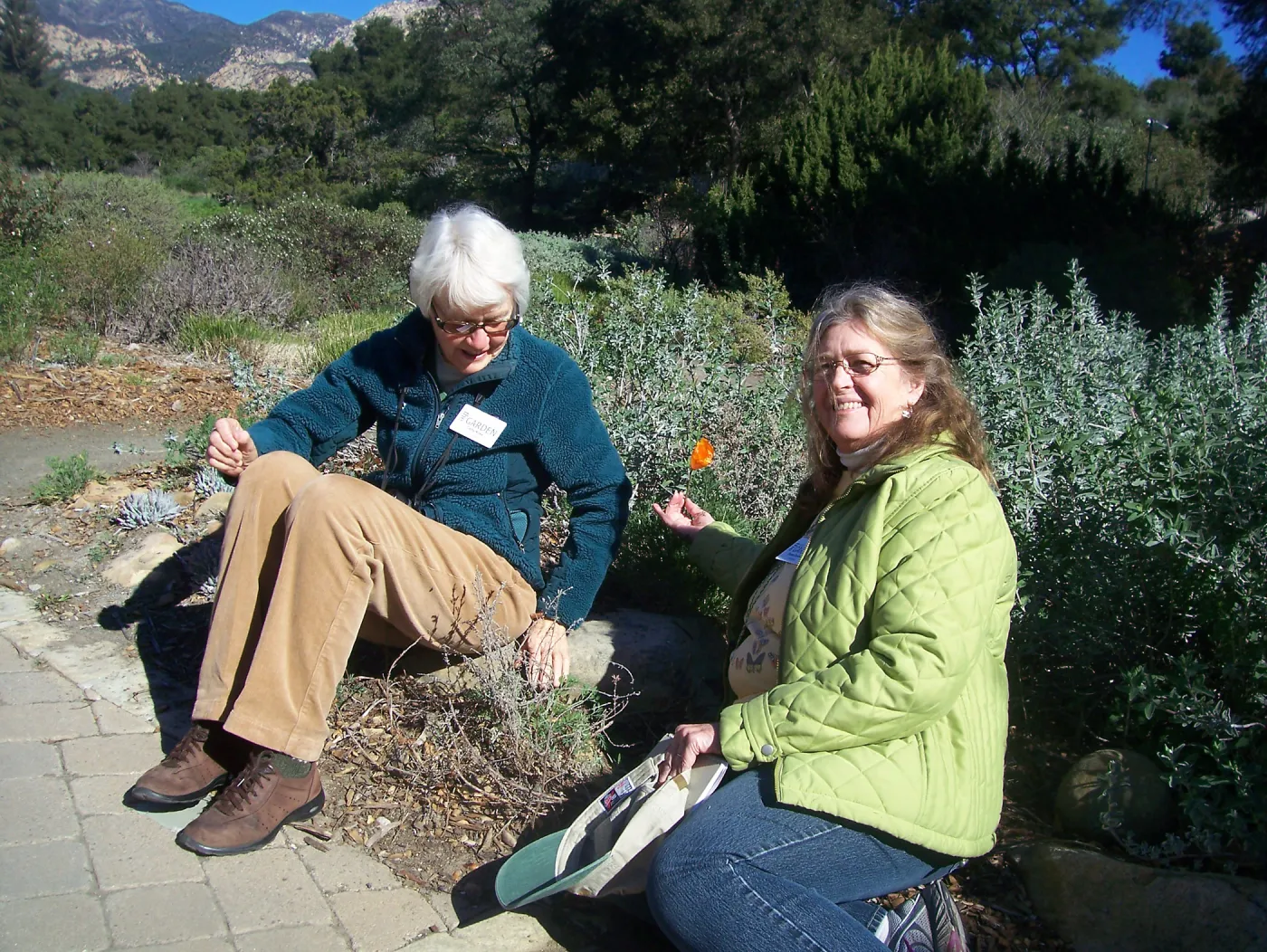 California Naturalists, SBBG, Susan Davidson, Cathy Rose