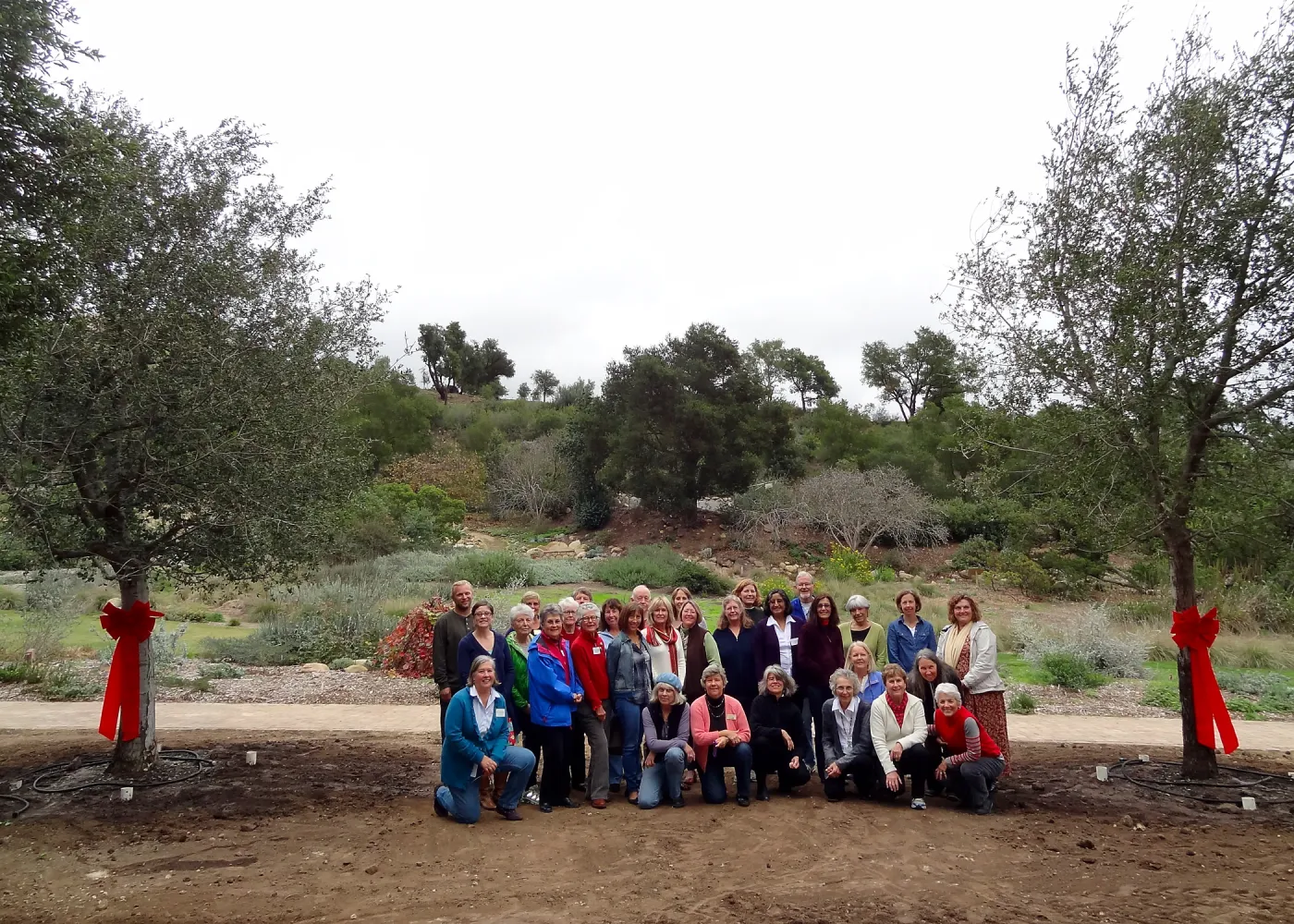 First SBBG California Naturalists graduation group, new oaks, Meadow Oaks