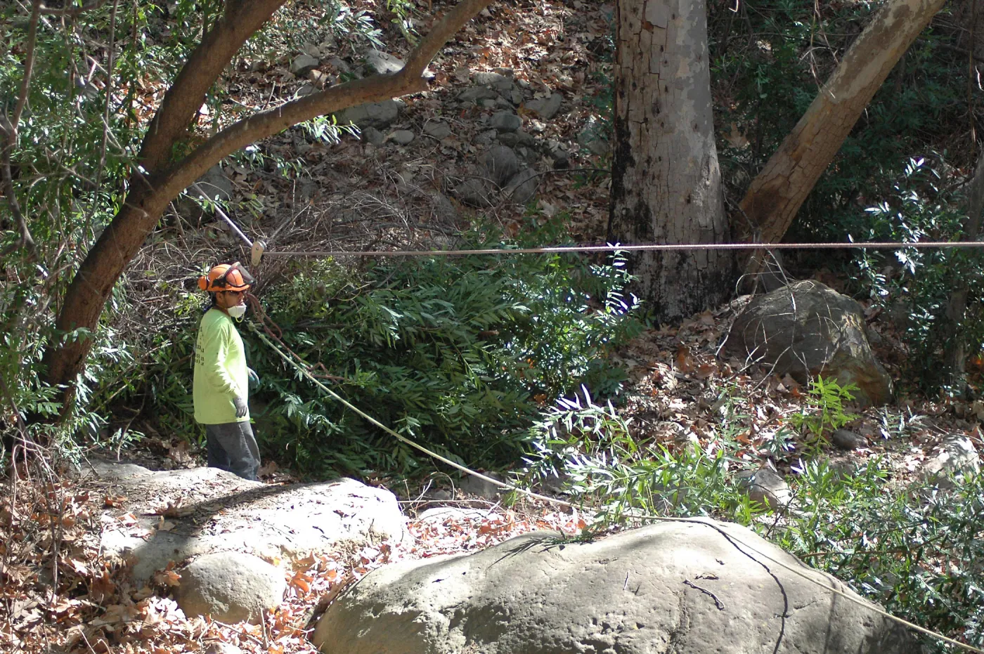 Creek Trail maintenance, SBBG