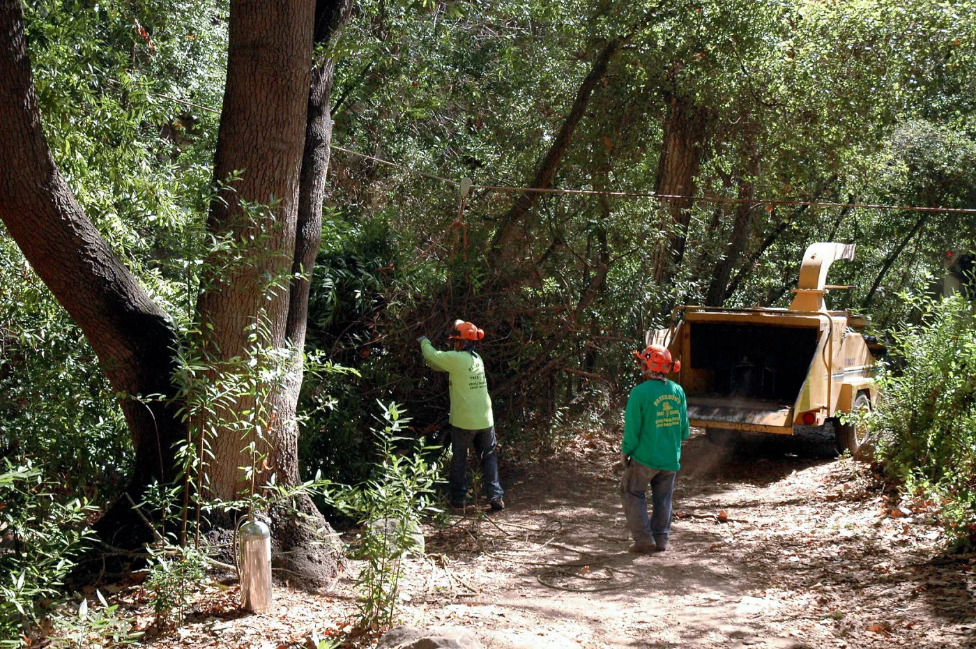 Creek Trail maintenance, SBBG