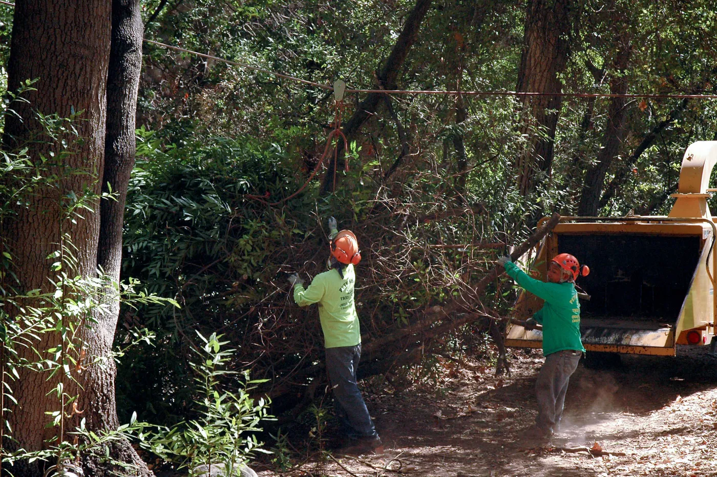 Creek Trail maintenance, SBBG