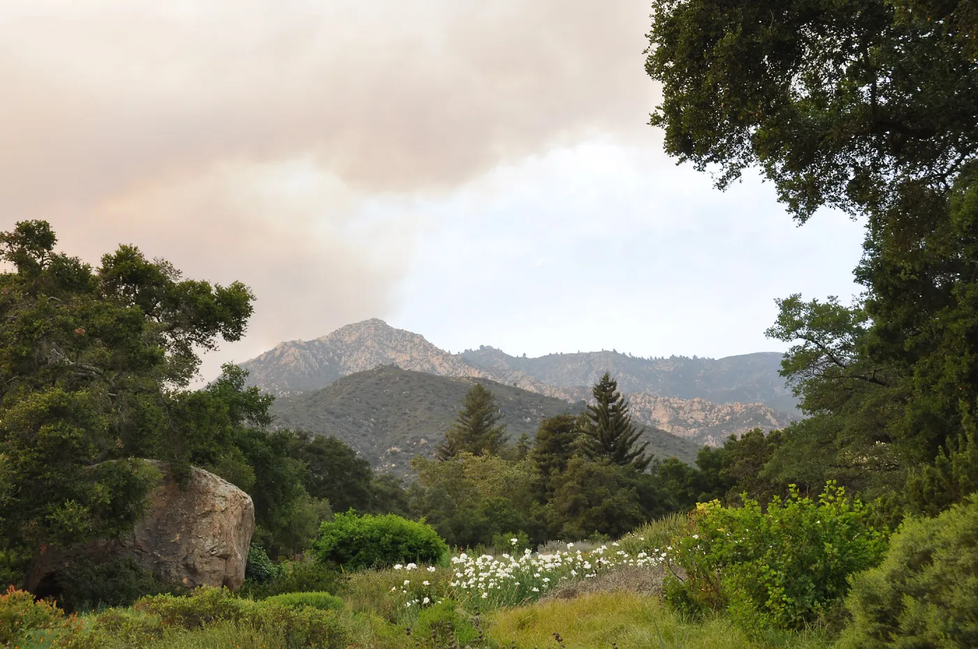 smoke visible from the Garden, fire in Santa Ynez back country