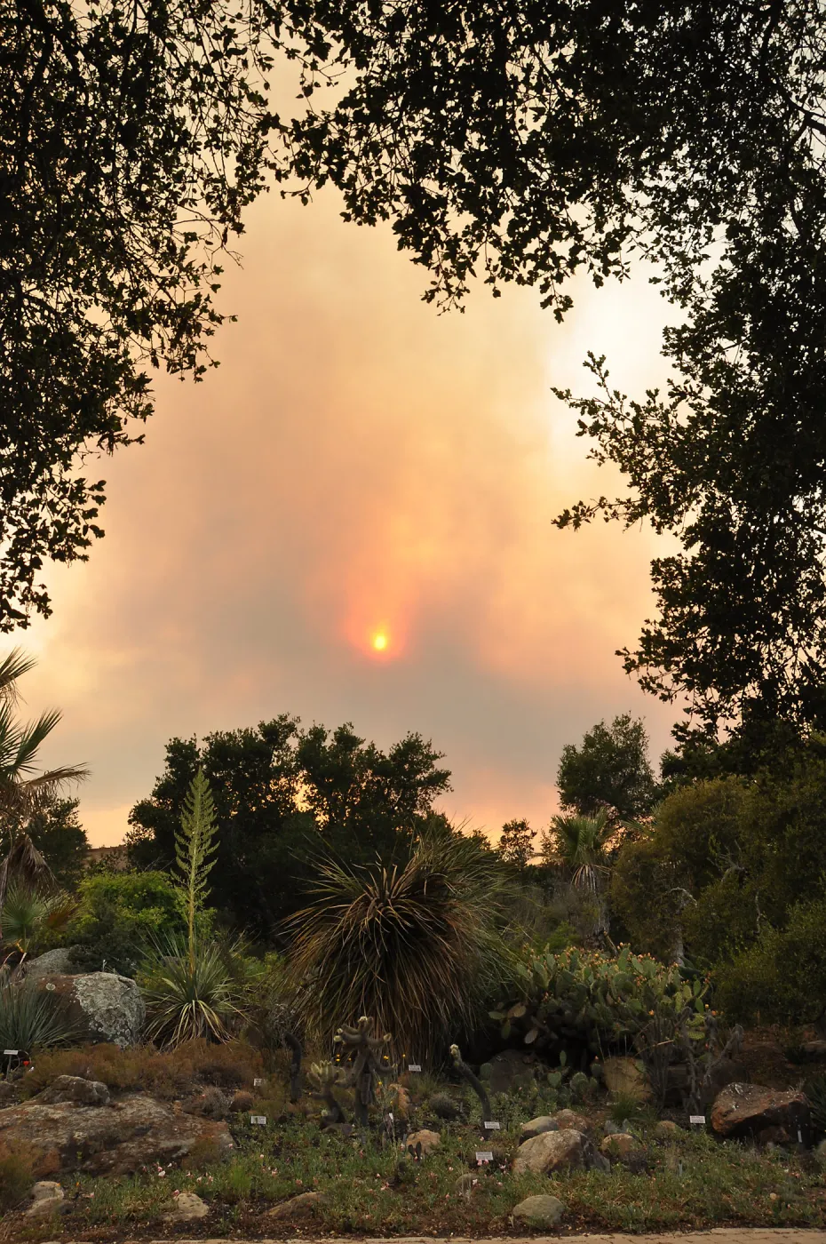 smoke visible from the Garden, fire in Santa Ynez back country
