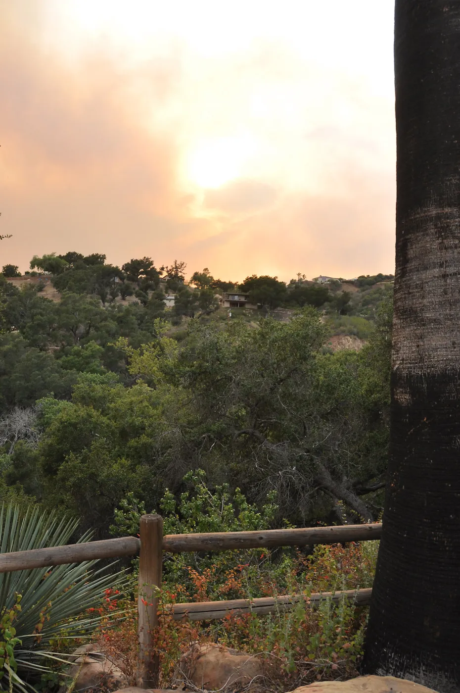 smoke visible from the Garden, fire in Santa Ynez back country