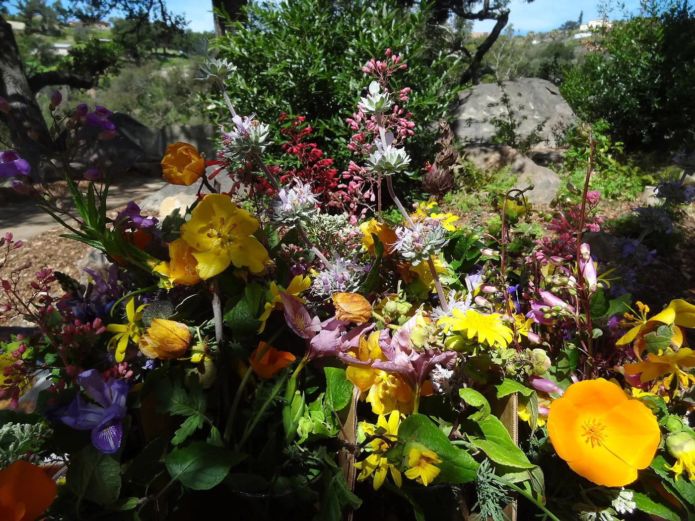 Floral arrangement, Volunteer Appreciation event 2012