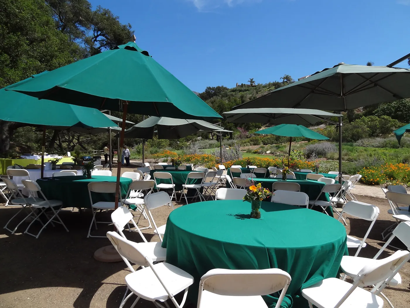tables set under the Meadow Oaks, Volunteer Appreciation event 2012