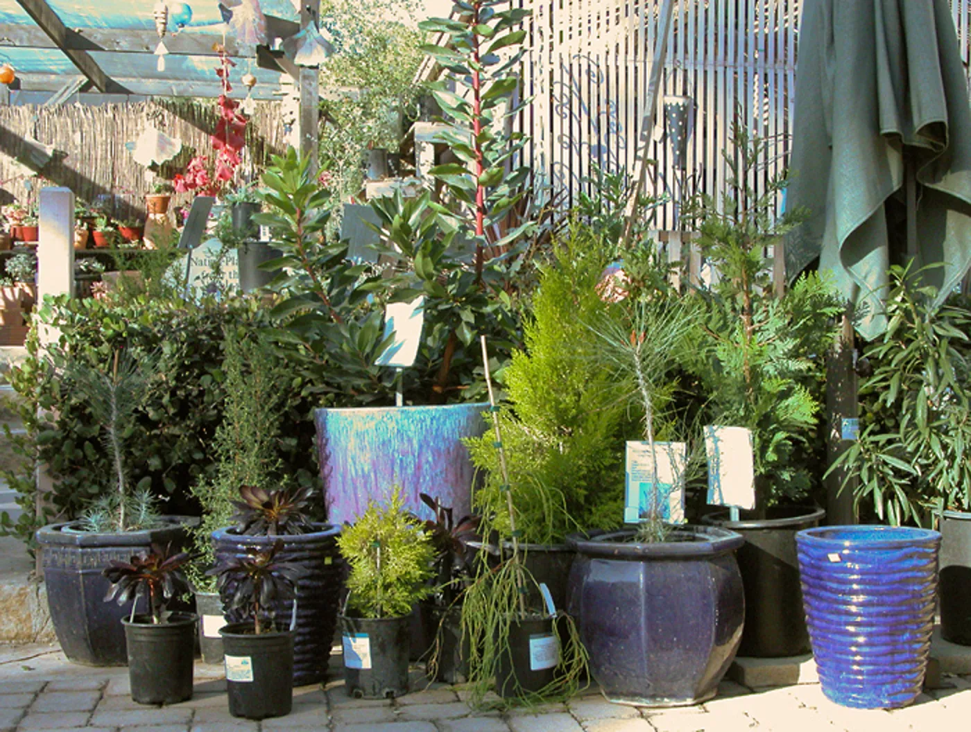 Garden Growers Nursery plants and products, SBBG