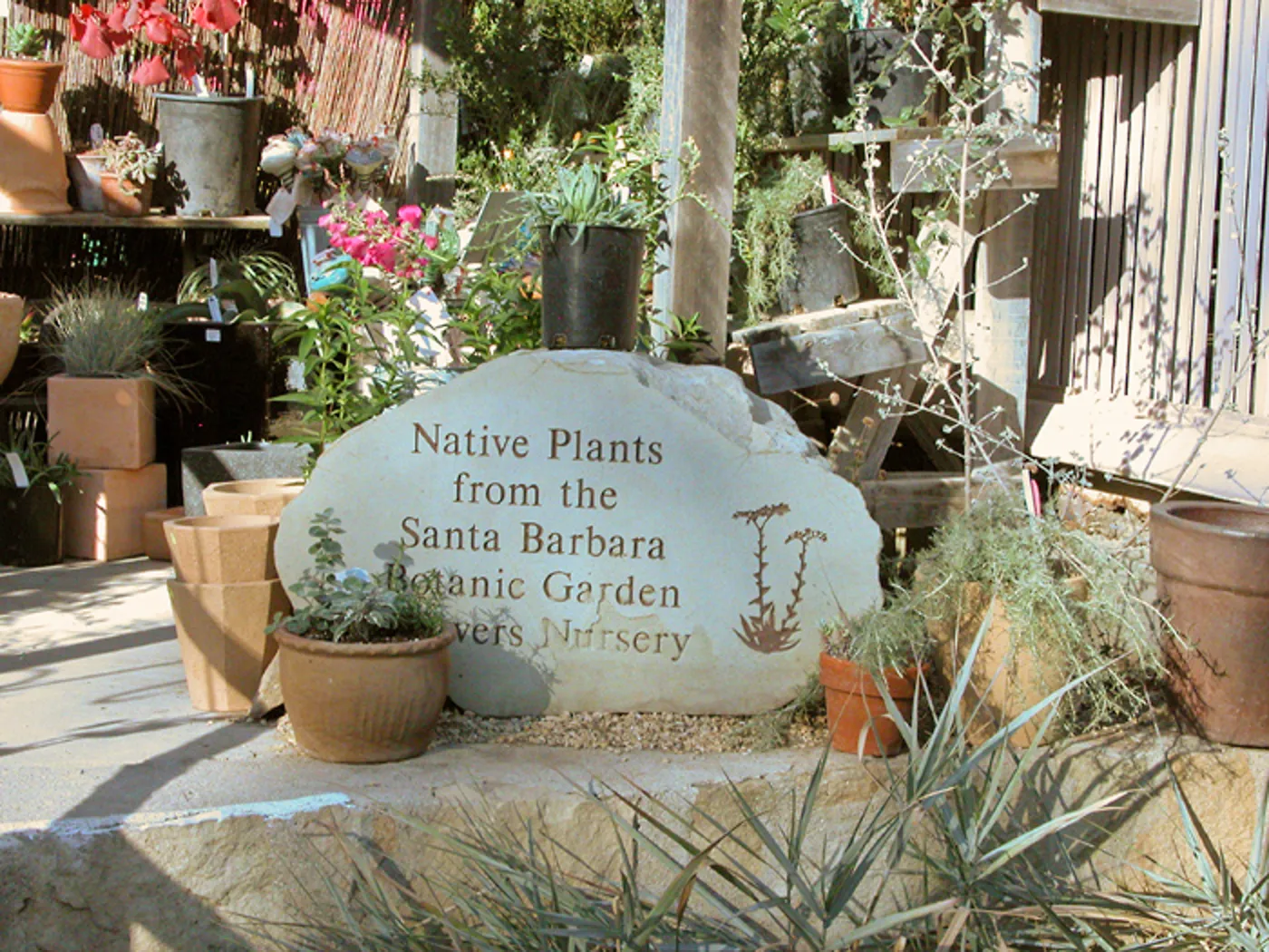 Garden Growers Nursery plants and products, SBBG