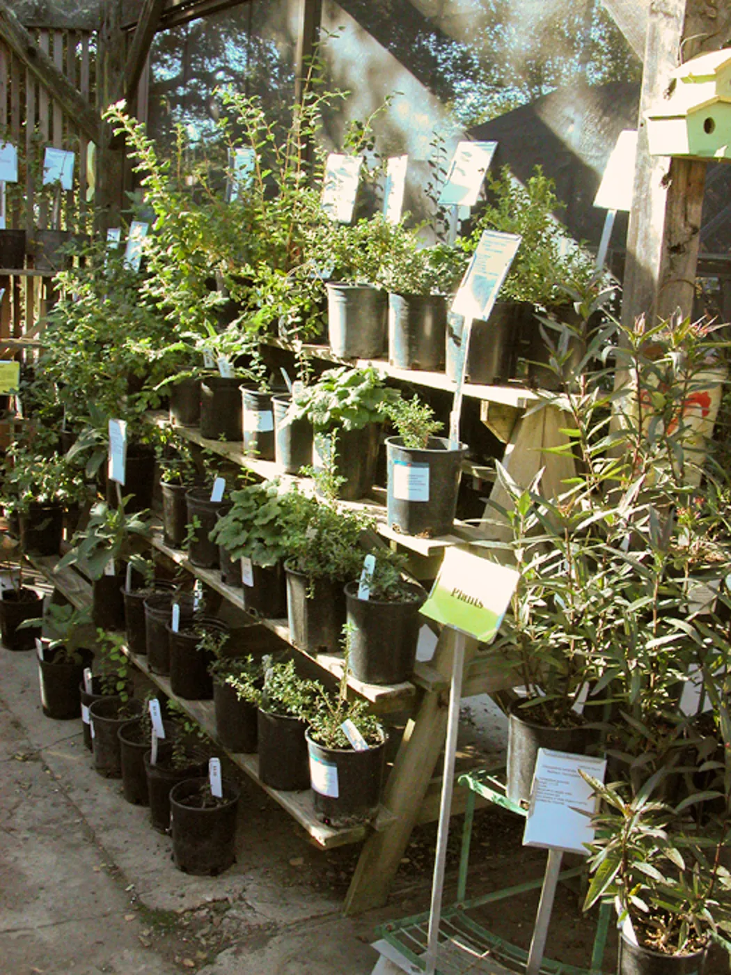 Garden Growers Nursery plants and products, SBBG