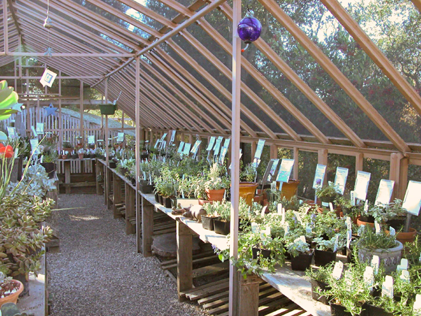 Garden Growers Nursery plants and products, SBBG
