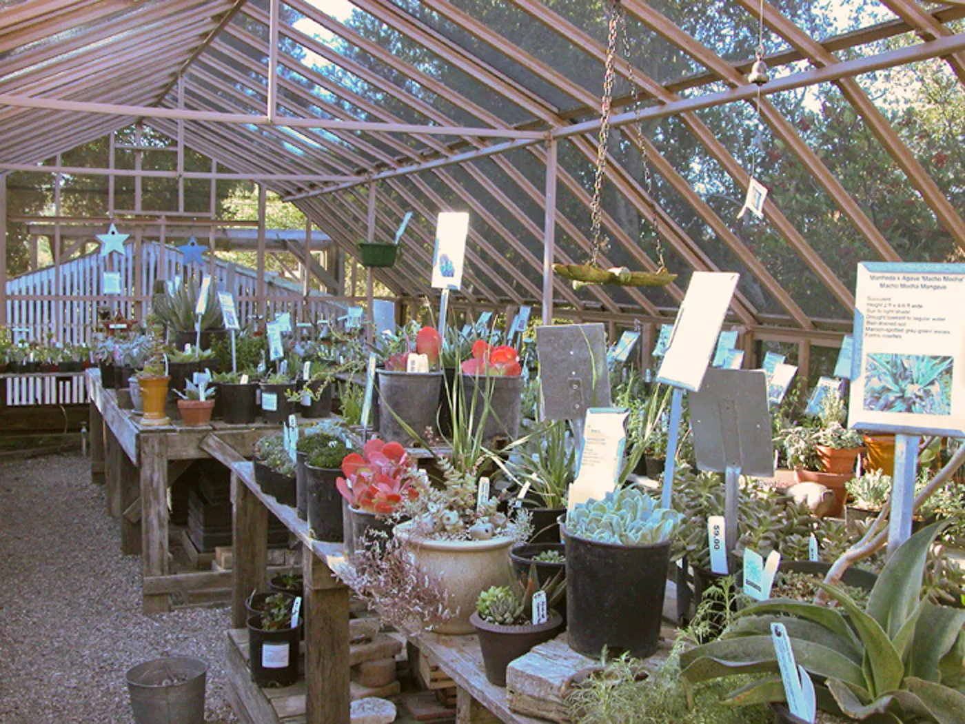 Garden Growers Nursery plants and products, SBBG